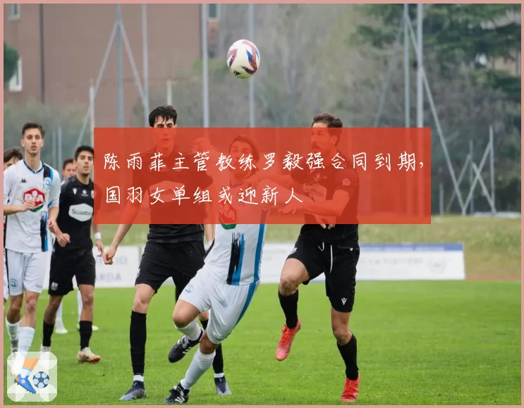 陈雨菲主管教练罗毅强合同到期，国羽女单组或迎新人