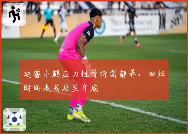 赵睿小腿应力性骨折需静养，回归时间表或延至年底